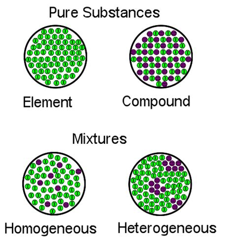 Biology: Homogeneous vs. Heterogeneous Mixtures - Expii