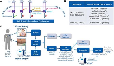 EGFR mutations, EGFR tyrosine kinase inhibitor (TKI) treatment and ...