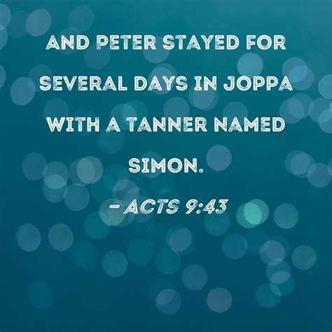 What Is A Tanner From The Bible at David Yim blog