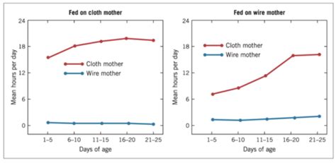 Lifespan Development Chapter Flashcards Quizlet