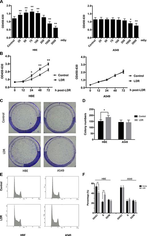 Distinct Biological Effects Of Low Dose Radiation On Normal And