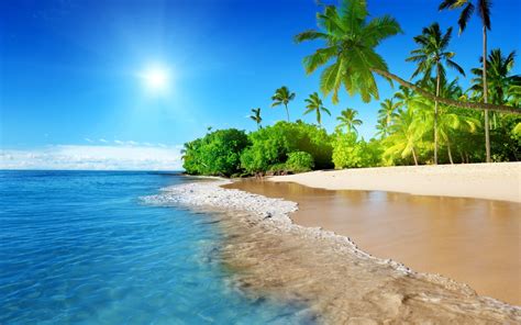 Fond d écran mer baie eau rive plage côte palmiers île lagune