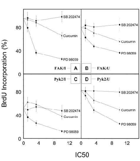 Effects Of Inhibitors For Mek Or Jnk On Cell Cycle Progression By Fak Download Scientific