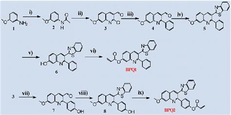 Scheme 1 Synthesis Of Bpq1 Reagent And Conditions I Ac 2 O Dmap Download Scientific Diagram