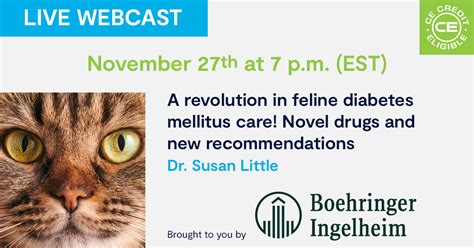 A Revolution In Feline Diabetes Mellitus Care Novel Drugs And New