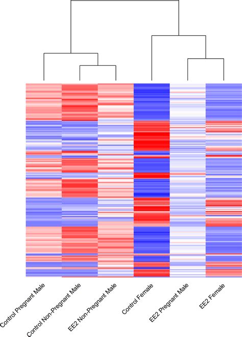 Sexually Dimorphic Gene Expression Patterns Heat Map Showing Download Scientific Diagram