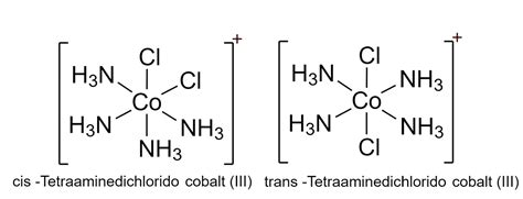 What Are Homoleptic Complexes