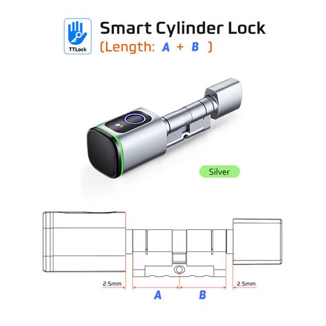 Raykube S Tuya Ble Tt Lock Smart Electronic Door Lock With Diy