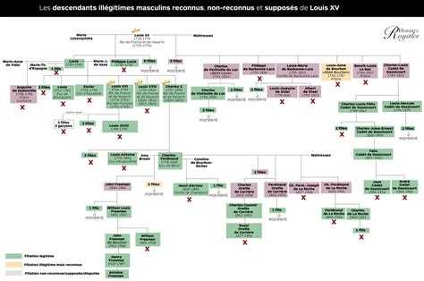 Le Descendant Des Derniers Rois De France R V L Par Un Test Adn