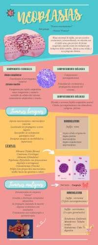 Infografía De Neoplasias Esquemas Y Mapas Conceptuales De Anatomía Patológica Docsity