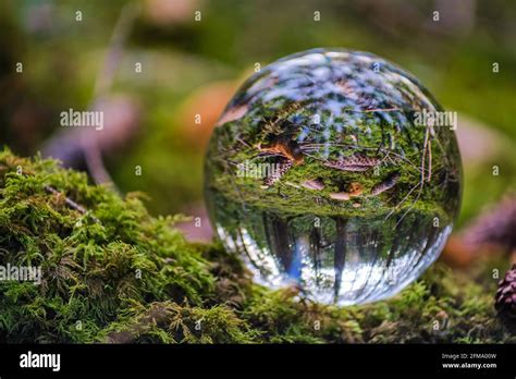 Themes And Concepts Hi Res Stock Photography And Images Alamy