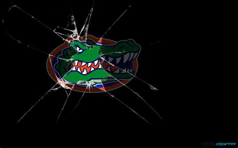 Florida Gators Football Wallpapers Wallpaper Cave