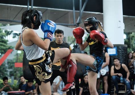 Treino De Muaythai Para Iniciantes Versus Fight Club