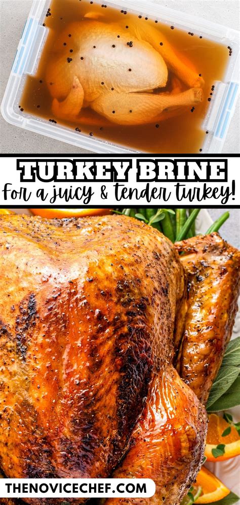 The Best Turkey Brine Recipe The Novice Chef