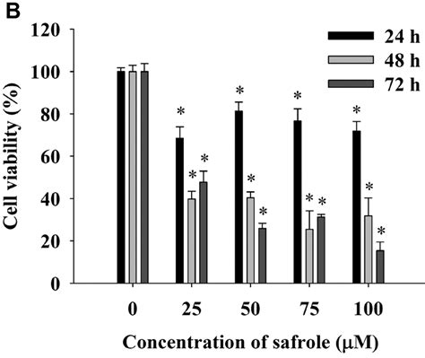 Safrole Induces G0 G1 Phase Arrest Via Inhibition Of Cyclin E And