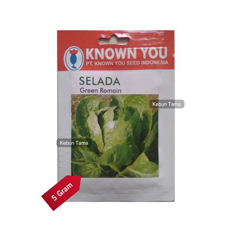 Jual Benih Selada Butterhead Green Romaine Known You Seed Isi 5 Gram