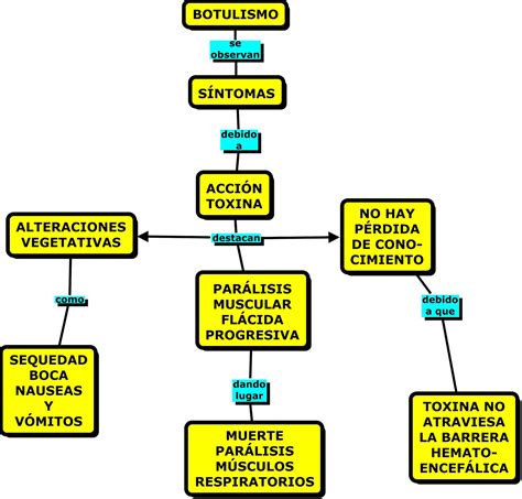 Mapas Conceptuales Mind Maps Y Science Experiments Botulismo En Sexiz Pix