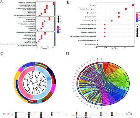 Go Analysis And Kegg Analysis Of Deps A The Functions Of The Deps