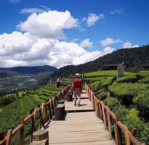 Lokasi Camping Terbaik Di Bandung Dari Hutan Pinus Air Terjun