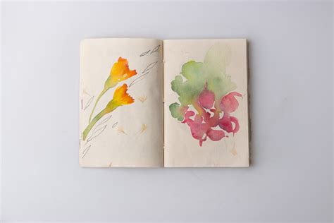 Watercolor sketchbook – everyday project on Behance