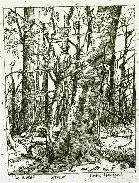 Pin By Ursa Minor On Trees In Art Pencil Charcoal Etchings Etc