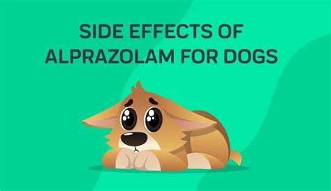 Side Effects Of Alprazolam For Dogs – Innovet Pet