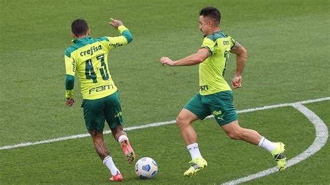 Veja As Fotos Do último Treino Do Palmeiras Antes Do Jogo Contra O