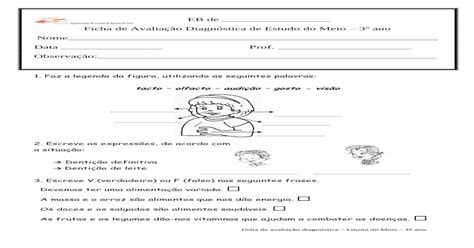 EB de Ficha de Avaliação Diagnóstica de Estudo do Meio 3º ano PDF