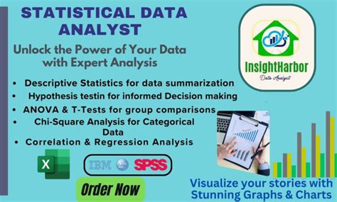 Statistically Analyze Data Using Excel And Spss By Insightharbor Fiverr