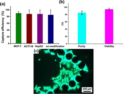 A Capture Efficiency For Mcf 7 Hct116 And Hepg2 Cells Are 90 905 Download Scientific