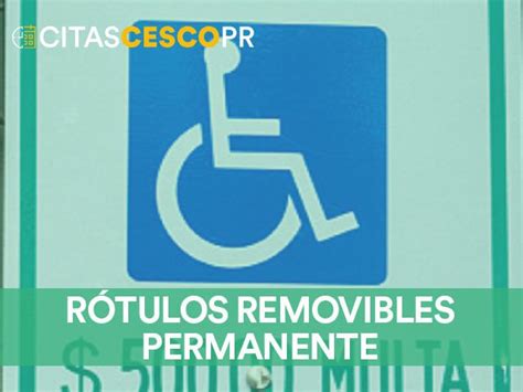 Cesco Carnet Impedido Requisitos Solicitudes Formularios Y Citas