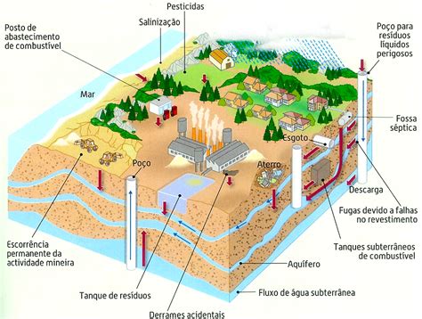 BioLugar Fontes de poluição aquática