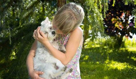 Une Tude R V Le Que Les Chiens Pleurent De Joie Quand Ils Retrouvent