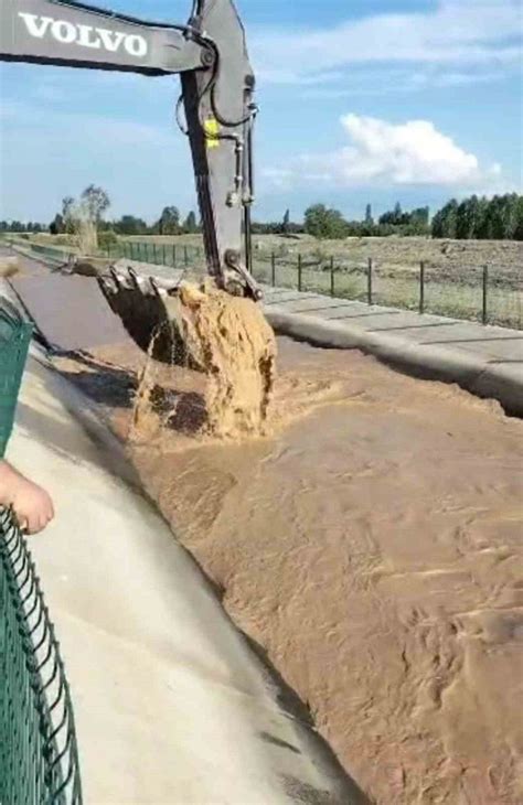 Su kanalına düşen boğayı kepçeyle kurtardı Medyabar