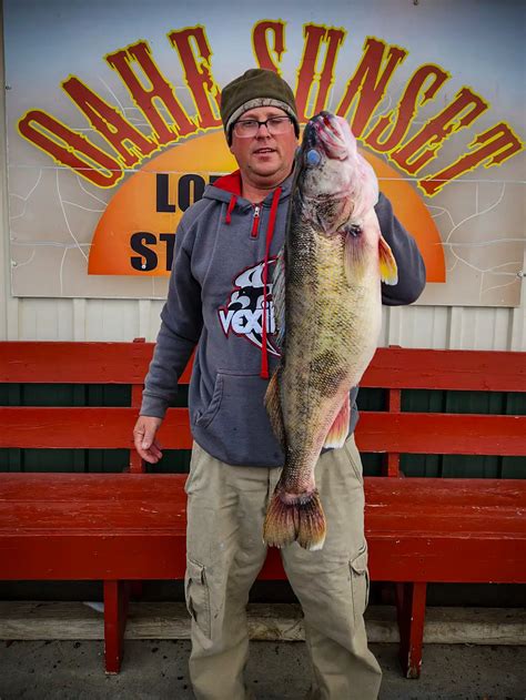 South Dakota State Record Walleye Caught Wired2fish