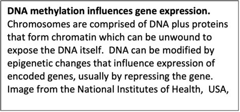 A New Strategy To Improve The Expression Of MeCP2 By Reactivation Of