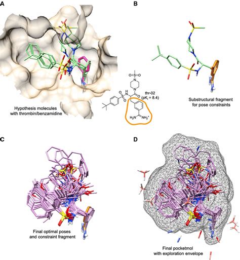 Thrombin model construction: a PDB structure 1DWB (thrombin/benzamidine... | Download Scientific ...