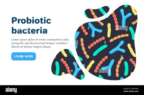 Vector Background With Probiotics Bifidobacterium Lactobacillus