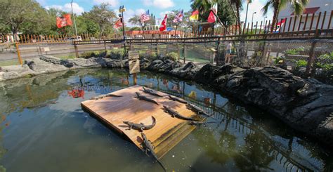 Smugglers Cove Adventure Golf In Sarasota Must Do Visitor Guides