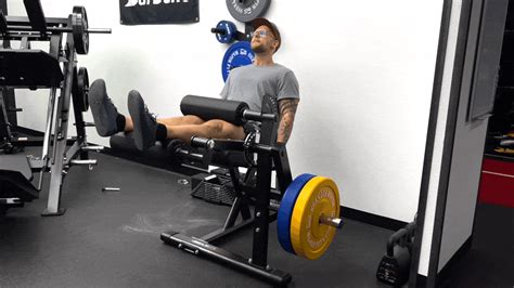 The 2 Best Leg Exercises For Muscle Barbend