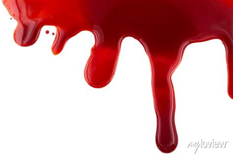 Dripping Blood Isolated On White Background Flowing Red Blood Wall