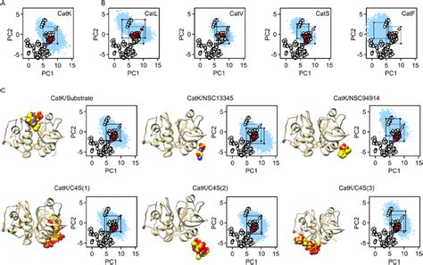 Principal Component Analysis Of Molecular Dynamics Simulations A Download Scientific Diagram