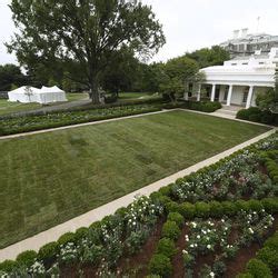 White House Rose Garden renovation: Newly spruced-up garden set for first lady speech - Chicago ...