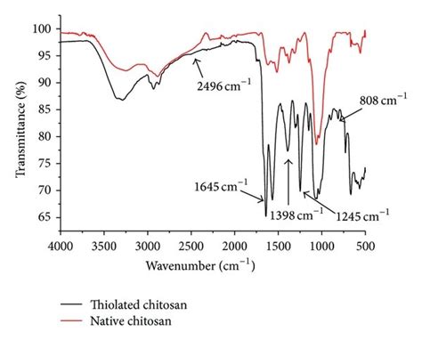 Ft Ir Spectra Of Thiolated Chitosan And Native Chitosan Download