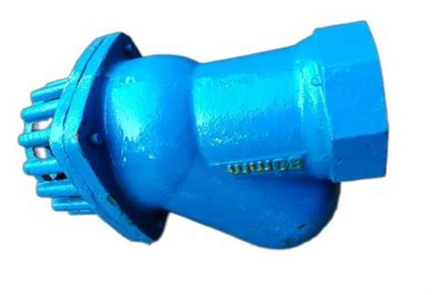 Blue Ball Type Cast Iron Foot Valve Valve Size 80 Mm At Rs 1400 Piece