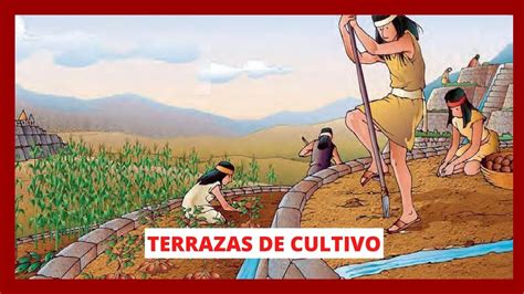 Terrazas de cultivo Ventajas Incas en Latino américa YouTube