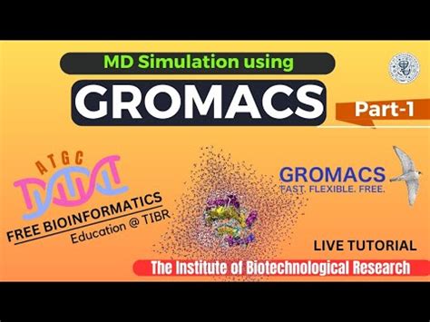 Molecular Dynamics Simulation Live Tutorial Part 1 GROMACS YouTube