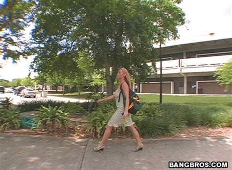 Miami Pussy Porn Pictures XXX Photos Sex Images 2722355 PICTOA