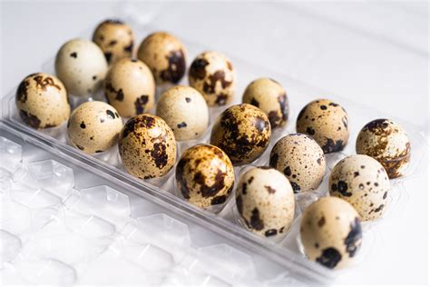 How To Make Soft Boiled Quail Eggs Food Is Four Letter Word