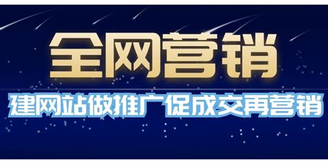 石家庄网络营销网站推广欢迎咨询 保定创天网络科技供应易龙商务网